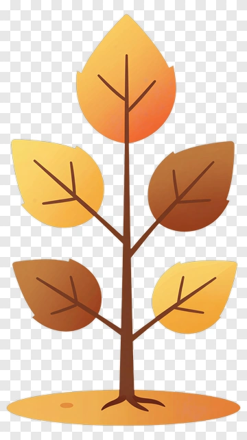 Colorful Tree With Autumn Leaves PNG