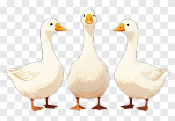 Three Cartoon Geese PNG