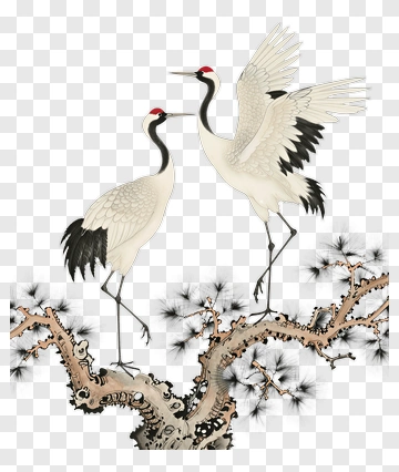 Cranes Standing On A Pine Tree Branch PNG