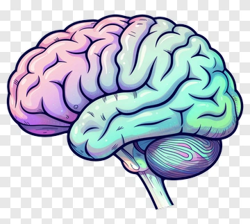 Colorful Brain Illustration PNG