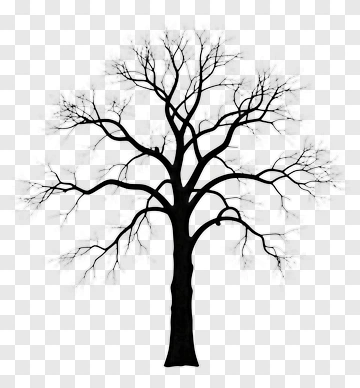 Silhouette Tree With Bare Branches PNG