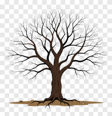 Bare Tree With Branches PNG