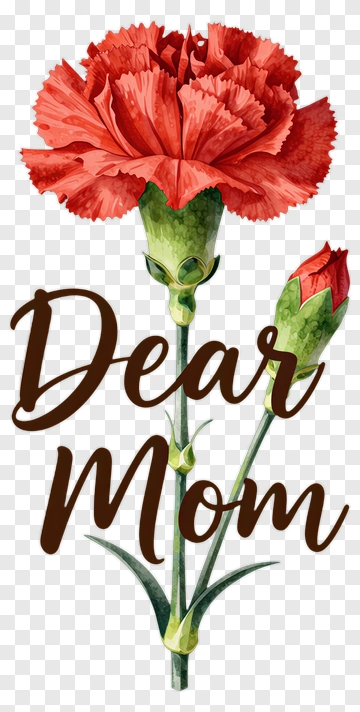 Red Carnation Flower With Dear Mom Text PNG