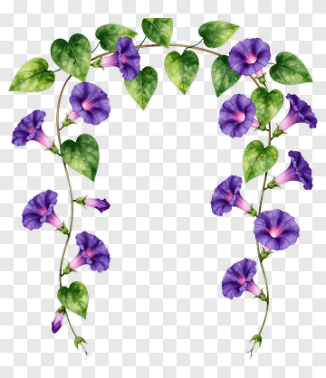 Purple Flower And Green Leaf Arch PNG