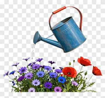 Watering Can Above Colorful Flowers PNG