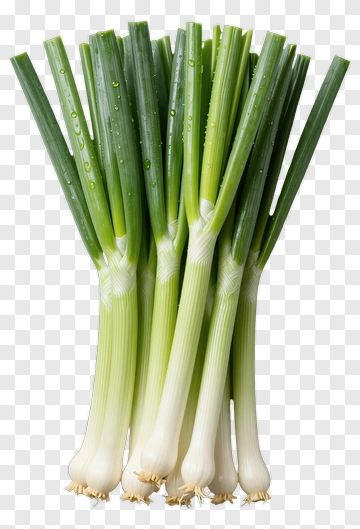 Fresh Green Onions PNG