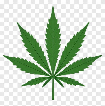 Green Cannabis Leaf PNG