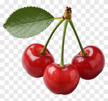Fresh Red Cherries With Leaf PNG