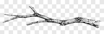 Branch With Twigs PNG