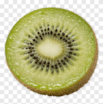 Fresh Kiwi Fruit Slice PNG