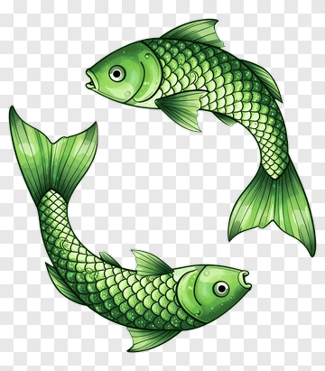 Cartoon Green Fish Swimming Together PNG