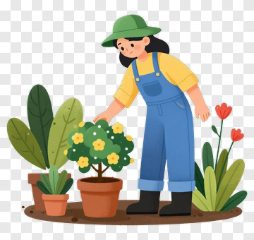 Gardener Tending To A Flowering Plant PNG