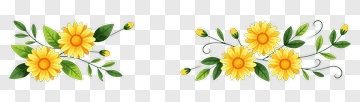 Flower Bouquet With Yellow Daisies And Green Leaves PNG