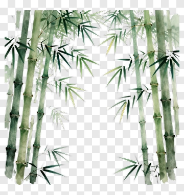 Watercolor Bamboo Forest PNG