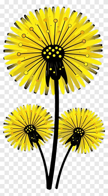 Colorful Dandelion Flowers PNG