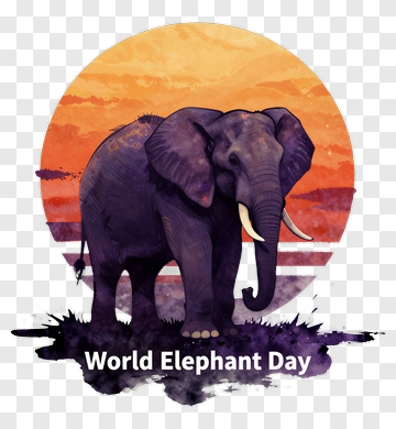 Elephant On World Elephant Day PNG