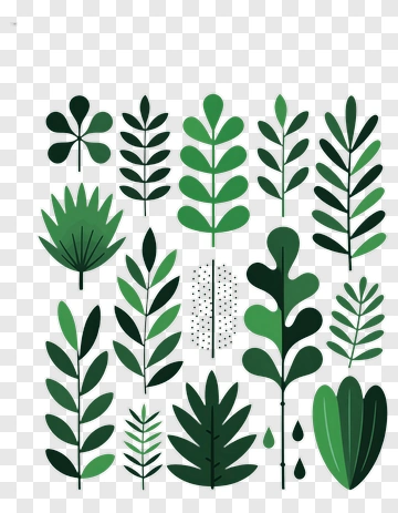 Collection Of Green Leaves PNG