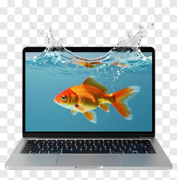 Goldfish Swimming In A Laptop Screen PNG