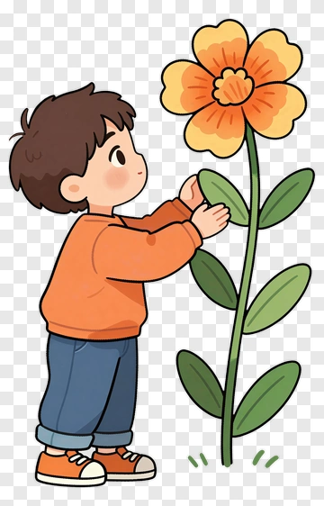Boy Interacting With A Flower PNG