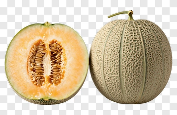 Whole And Halved Cantaloupe Melon PNG
