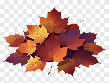 Colorful Autumn Leaves PNG