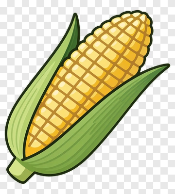 Cartoon Corn On The Cob PNG