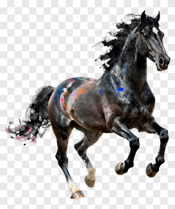 Black Horse Running With Colorful Splashes PNG