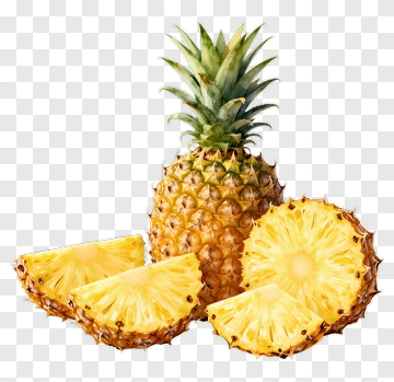 Pineapple With Slices PNG