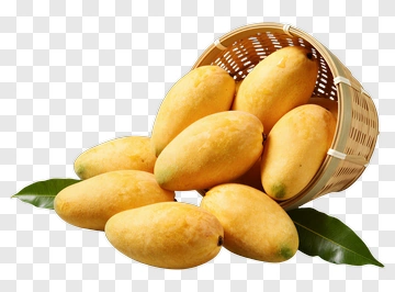 Basket Of Fresh Mangoes PNG