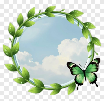 Butterfly And Leaf Frame PNG