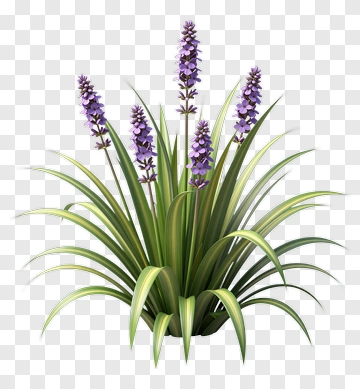 Purple Flowering Plant PNG