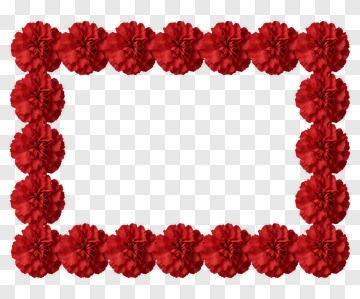 Red Carnation Flower Frame PNG