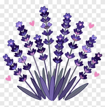 Colorful Lavender Bouquet PNG