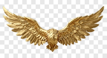 Golden Eagle Wings PNG