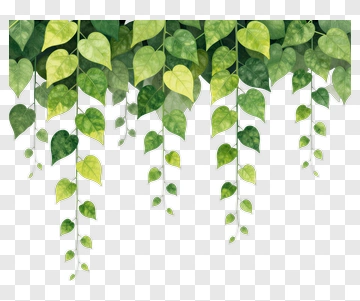 Colorful Hanging Vines With Green Leaves PNG