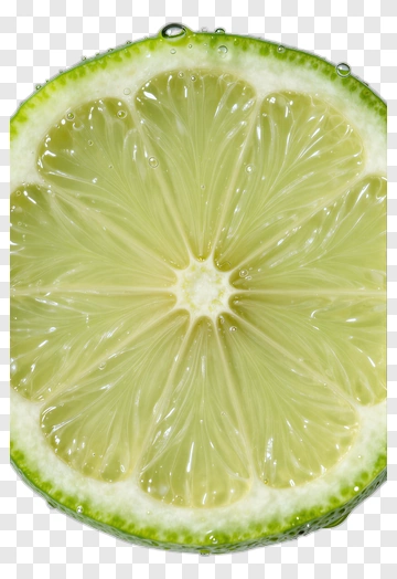 Fresh Lime Slice PNG