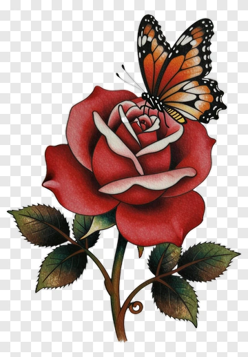 Butterfly On A Red Rose PNG