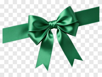 Green Satin Ribbon Bow PNG