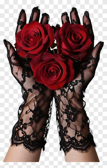 Hands Holding Red Roses In Black Lace Gloves PNG