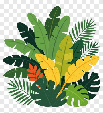 Colorful Tropical Leaves Arrangement PNG