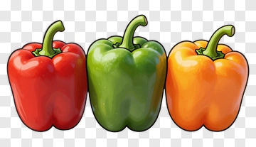 Colorful Bell Peppers PNG