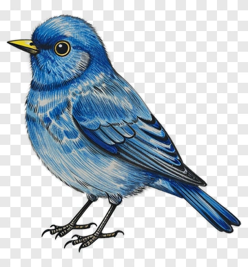 Blue Bird PNG