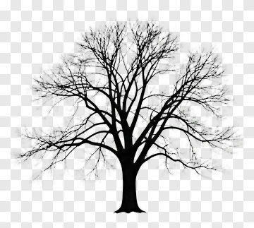 Black Silhouette Tree PNG