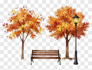 Autumn Park Scene With Trees And Bench PNG