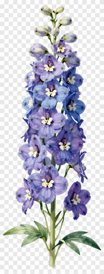 Purple Flower Bouquet PNG