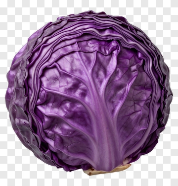 Purple Cabbage PNG