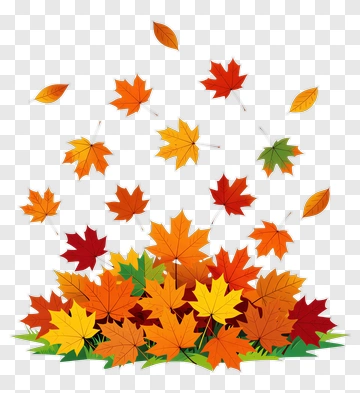 Colorful Autumn Leaves Falling PNG