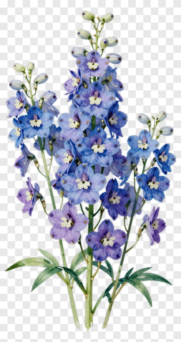 Colorful Flower Bouquet PNG