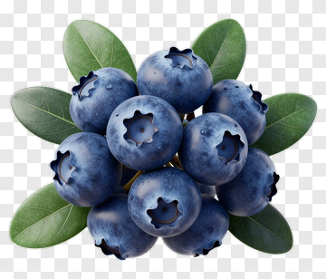 Fresh Blueberries With Green Leaves PNG