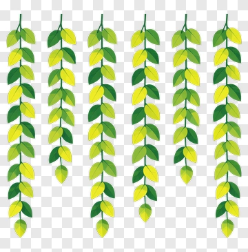 Green Leaf Vines PNG